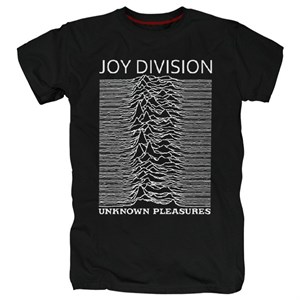 Joy division #7